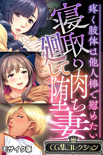 寝取り廻して肉堕ち妻 〜疼く肢体は他人棒で慰めたい〜【CG集コレクション】 モザイク版