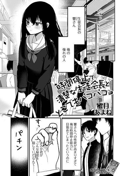 時間停止で清楚な生徒会長とどこでもパコパコ