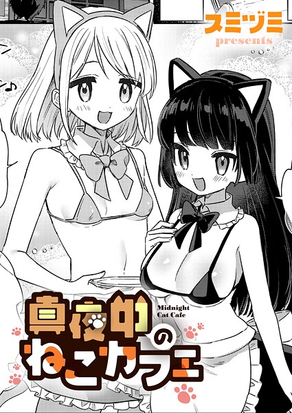 真夜中のねこカフェ